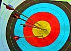 Icon for Archery Target Scores