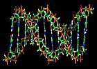 Icon for Deoxyribonucleic Acid (DNA)
